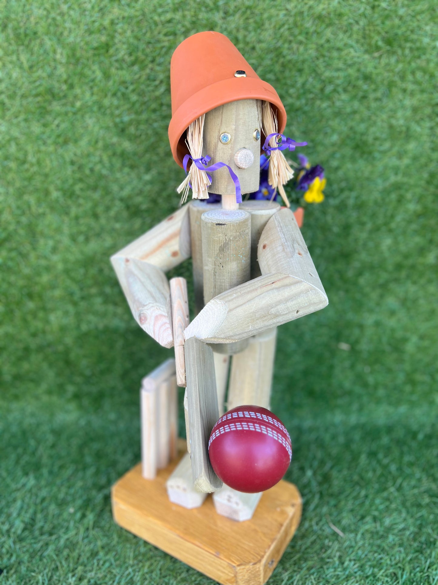 Cricket player